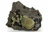 Botryoidal Green Calcite Formations on Basalt - Italy #319203-1